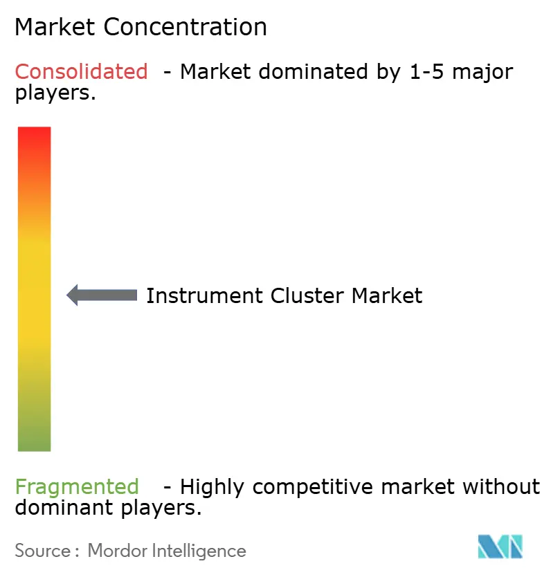 Instrument Cluster Market Concentration